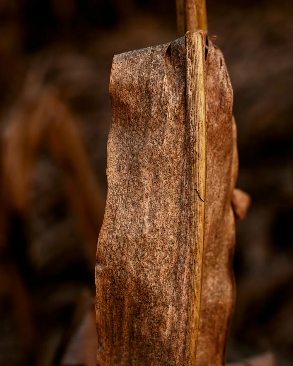 Natural Cambodian Oud Chips